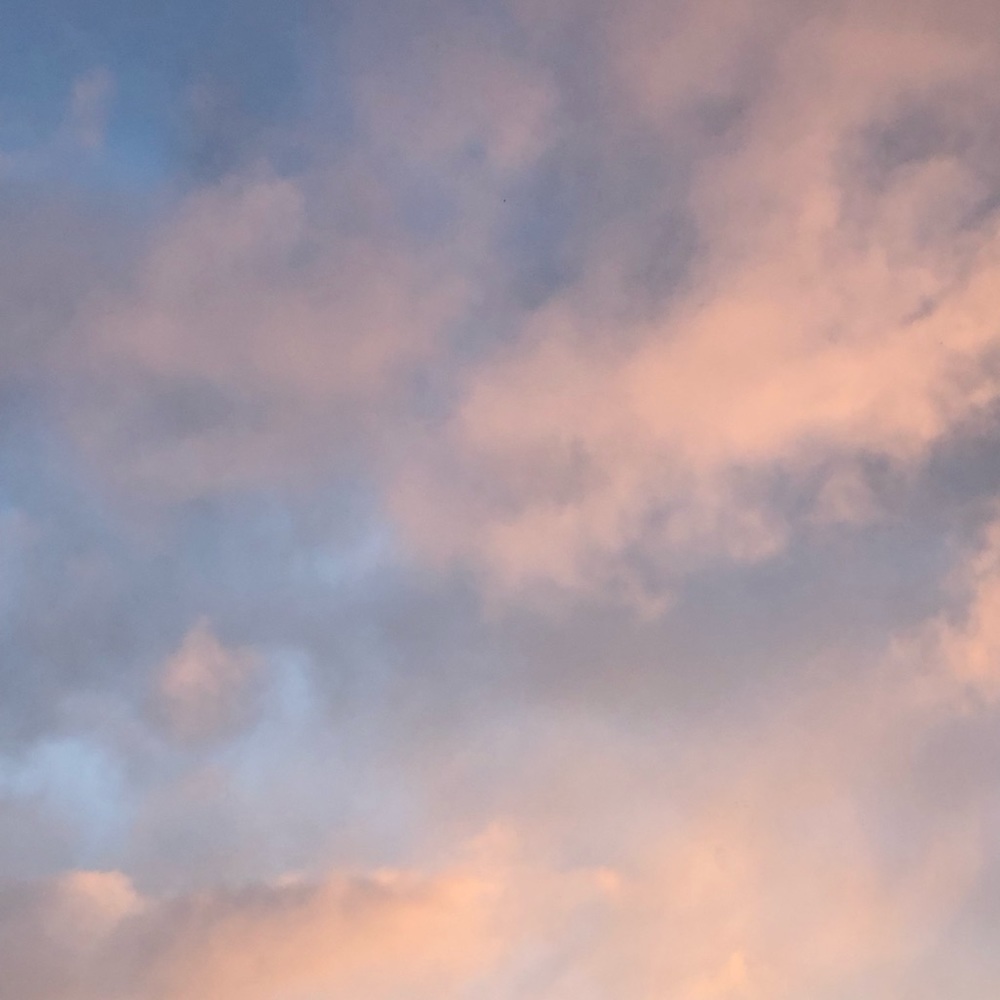 Meet your Posher, Maximo